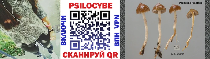 сколько стоит  Боготол  Галлюциногенные грибы Magic Shrooms 